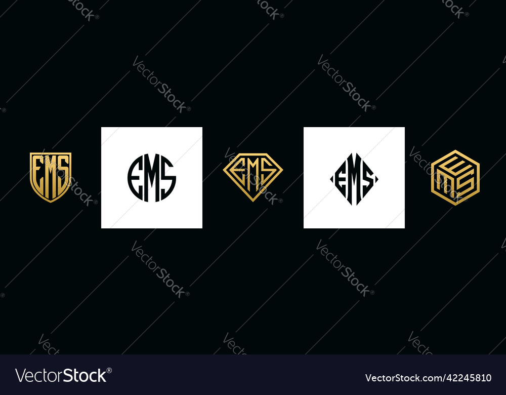 EMS Initial Logo Concepts
