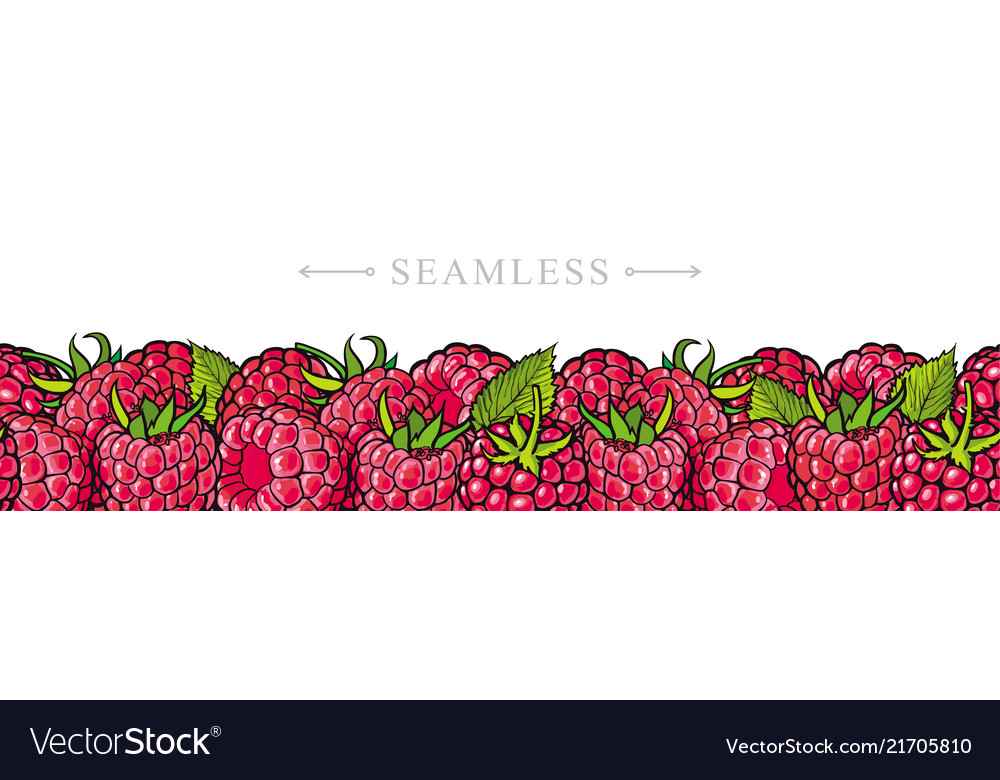 Fresh Raspberry Border Pattern