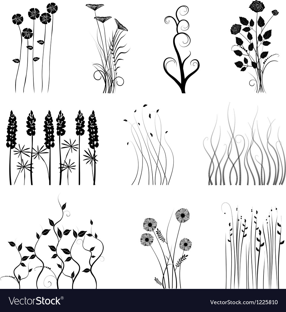 Set plant Royalty Free Vector Image - VectorStock