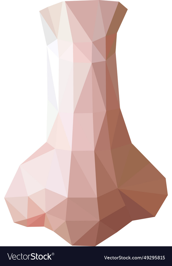 Geometric human nose made of triangles Royalty Free Vector