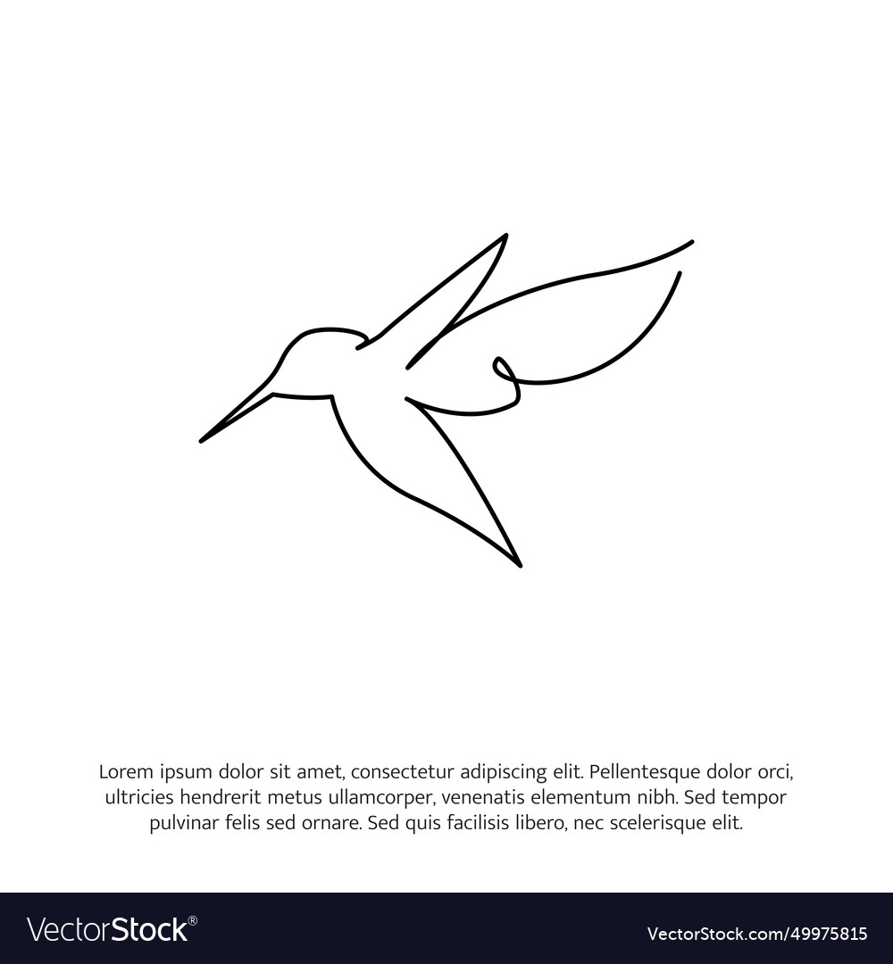 Hummingbird one continuous line drawing cute Vector Image