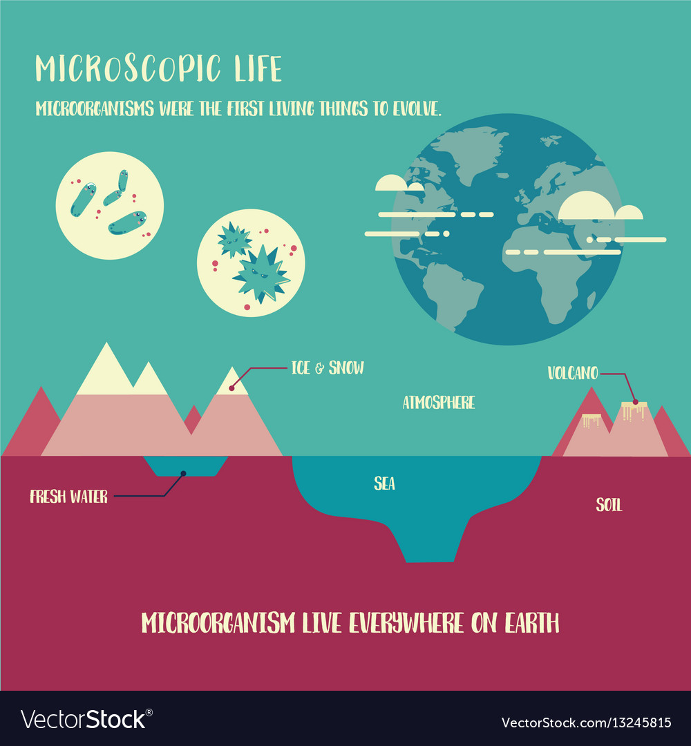 Microorganism life