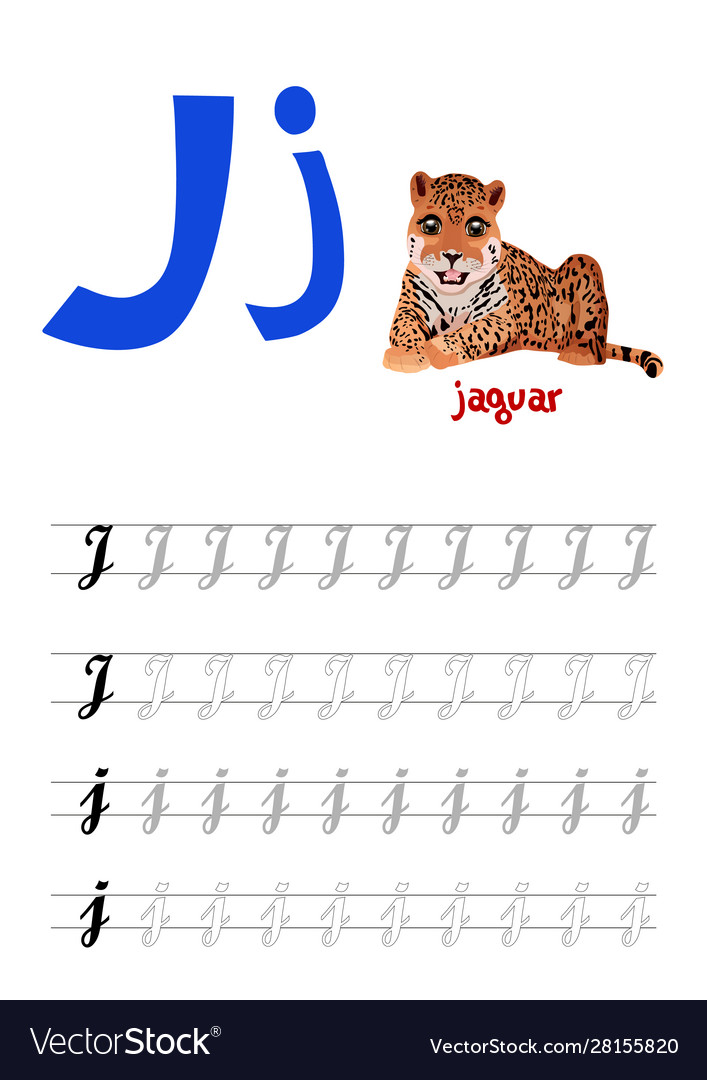 Design page layout english alphabet Royalty Free Vector