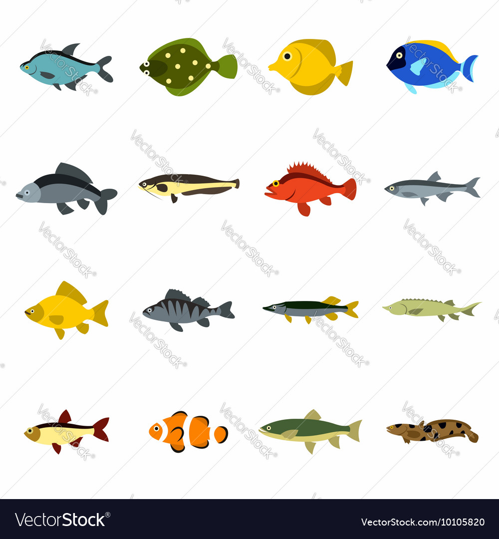 Fish icons set flat style Royalty Free Vector Image