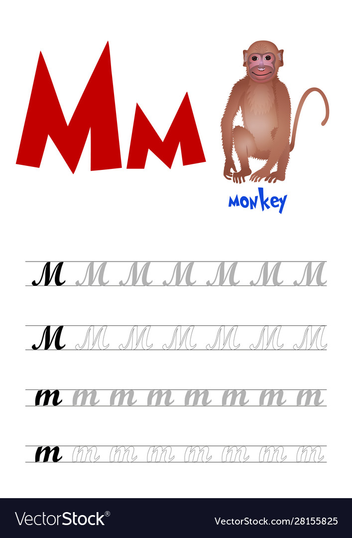 Design page layout english alphabet Royalty Free Vector