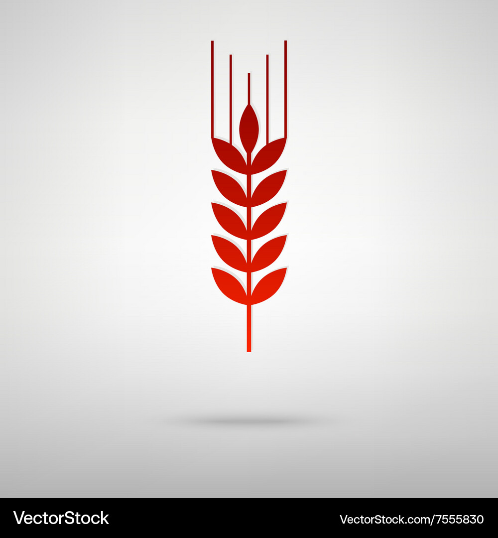 Red icon with shadow Royalty Free Vector Image