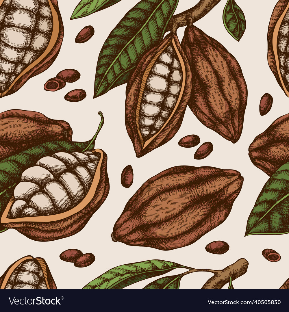 Seamless pattern with hand drawn colored cocoa vector image Seamless pattern with hand drawn colored cocoa