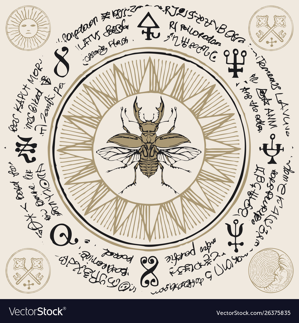 Banner with stag-beetle and old magic symbols Vector Image