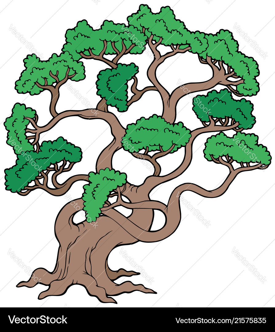 Big pine tree Royalty Free Vector Image - VectorStock