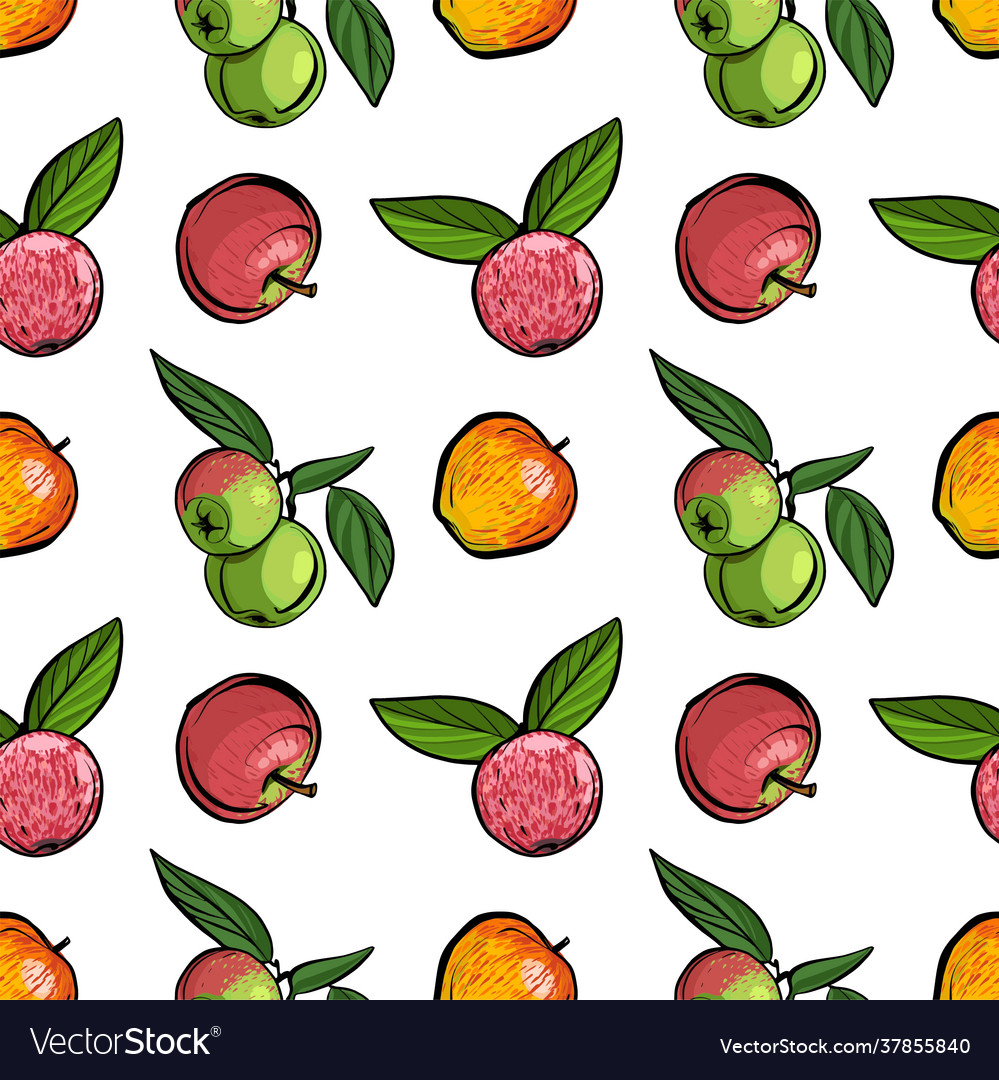 Seamless pattern different varieties apples Vector Image