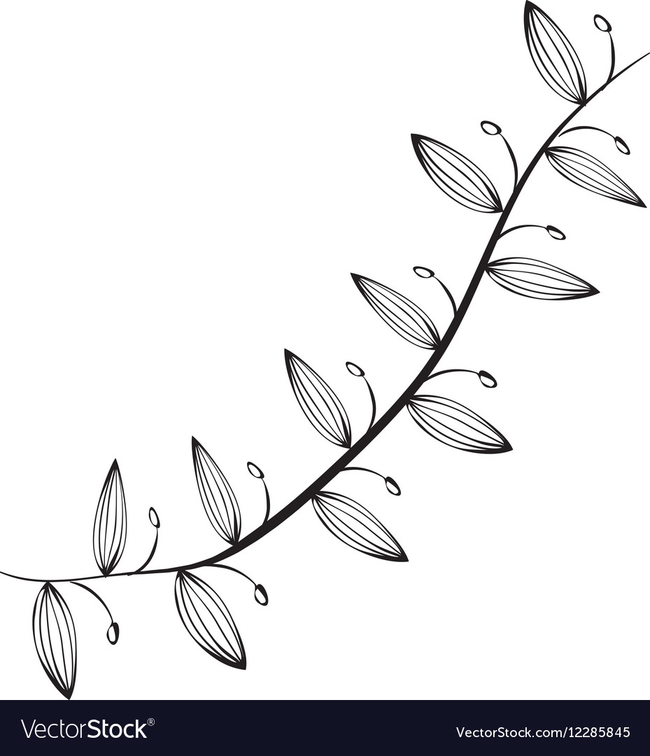 Decorative leaves in black and white