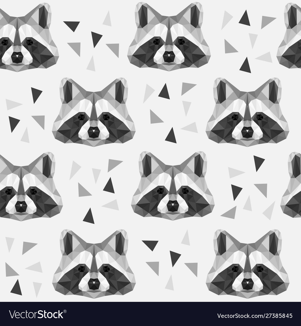 Racoon vector image Racoon