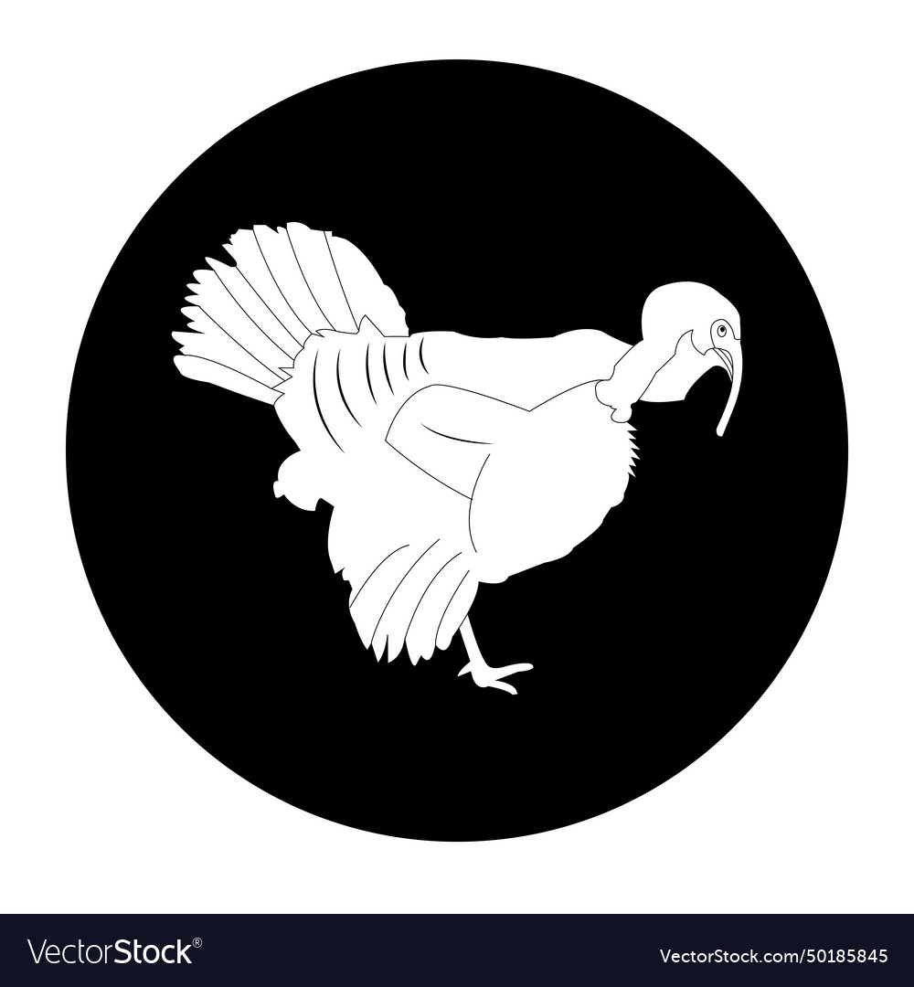 Turkey icon