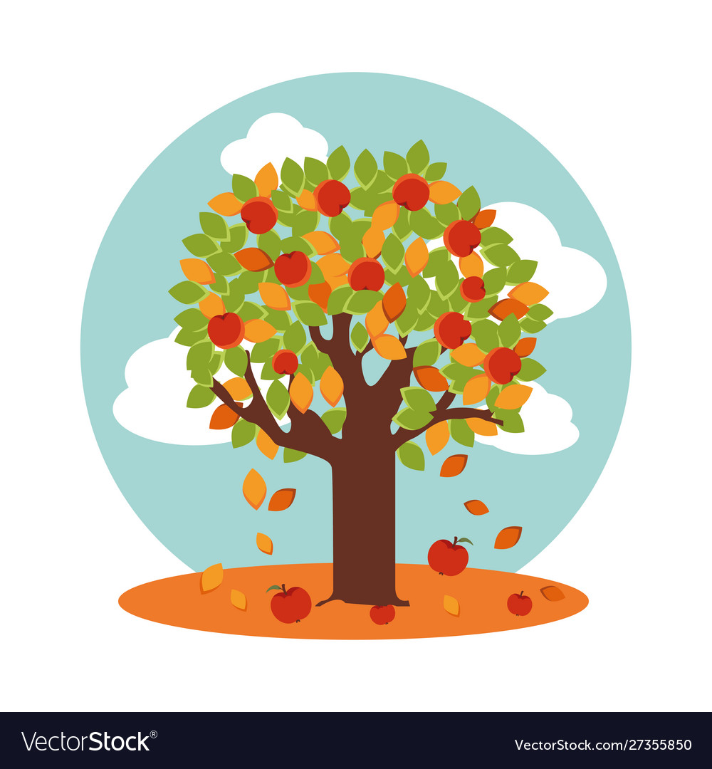 Tree apples in autumn with sky