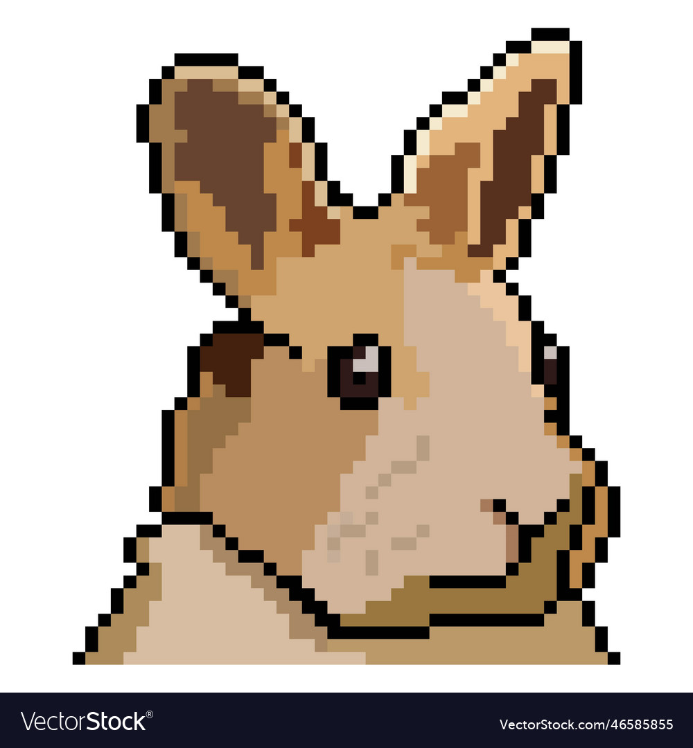 Bunny head with pixel art