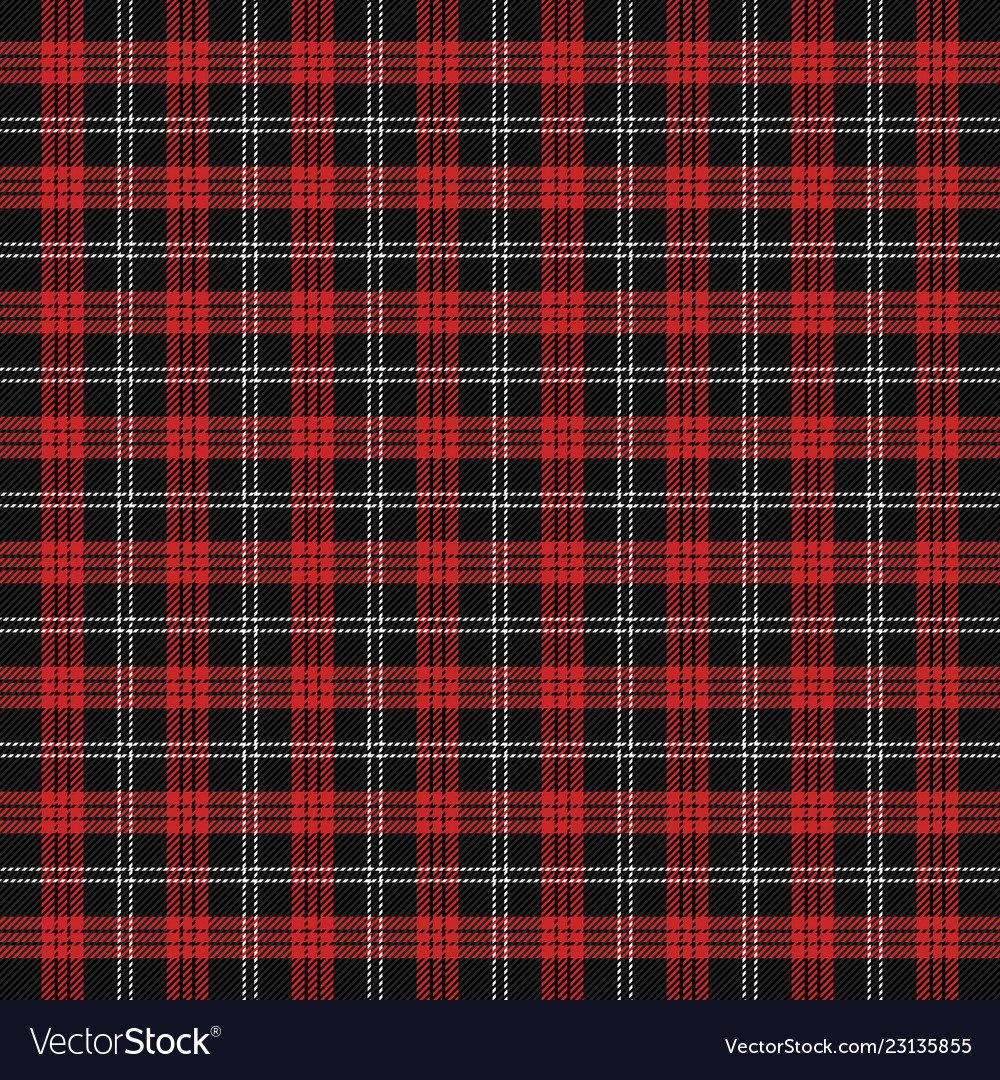 Year tartan pattern scottish cage Royalty Free Vector Image