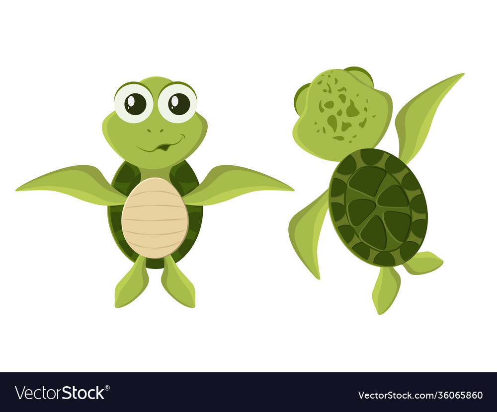 Smiling Turtle Collection