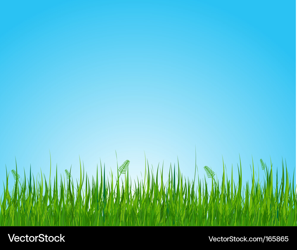 Grassy Field Royalty Free Vector Image Vectorstock