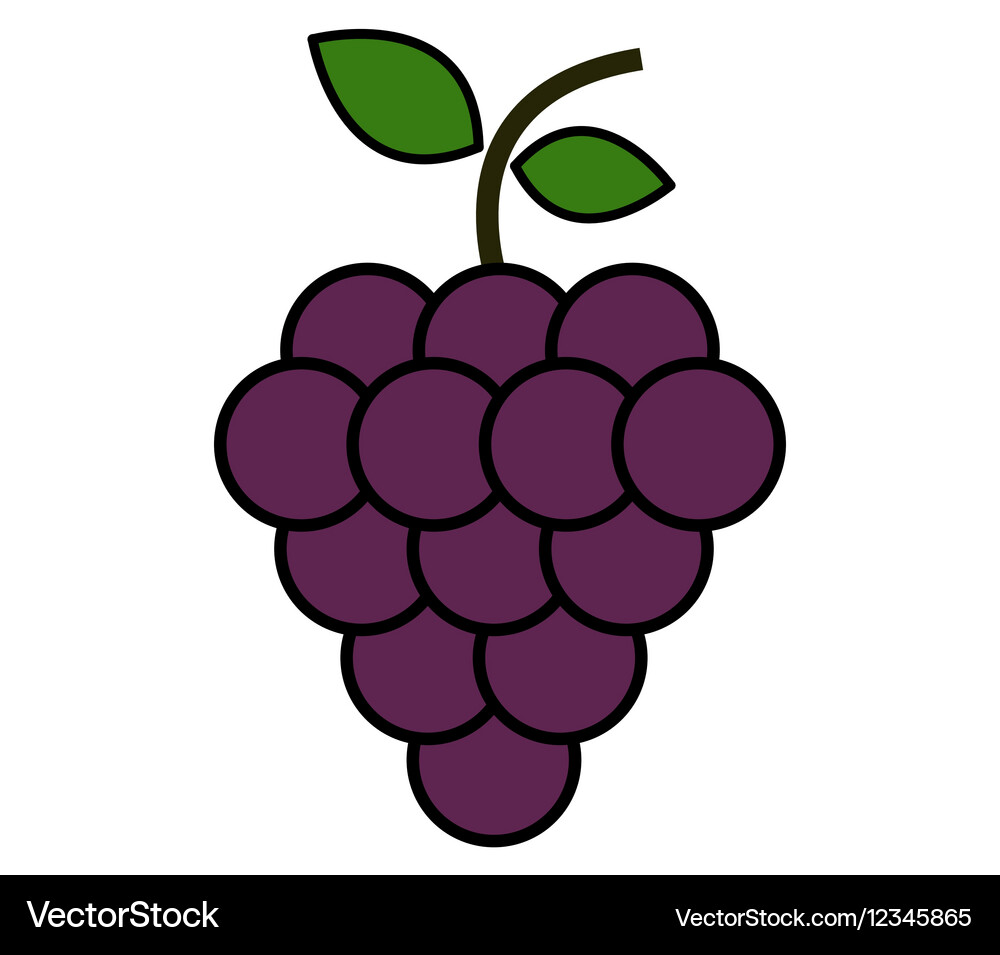 Icon grape Royalty Free Vector Image - VectorStock