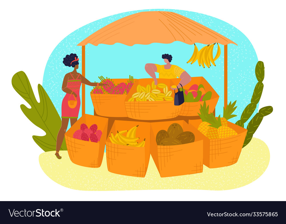 Market stall tropical fruit set in flat style vector image Market stall tropical fruit set in flat style