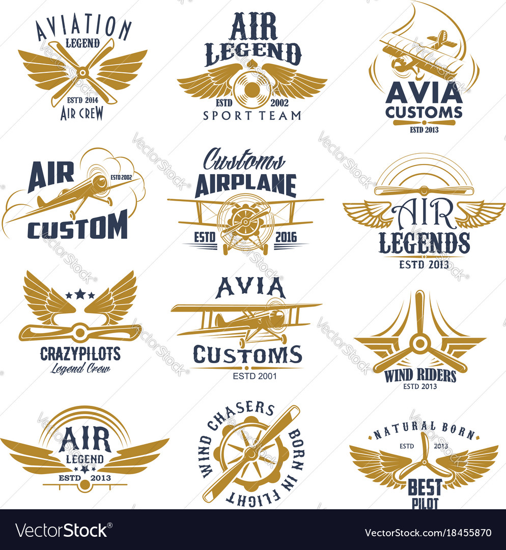 Aviation airplane legend team retro icons Vector Image