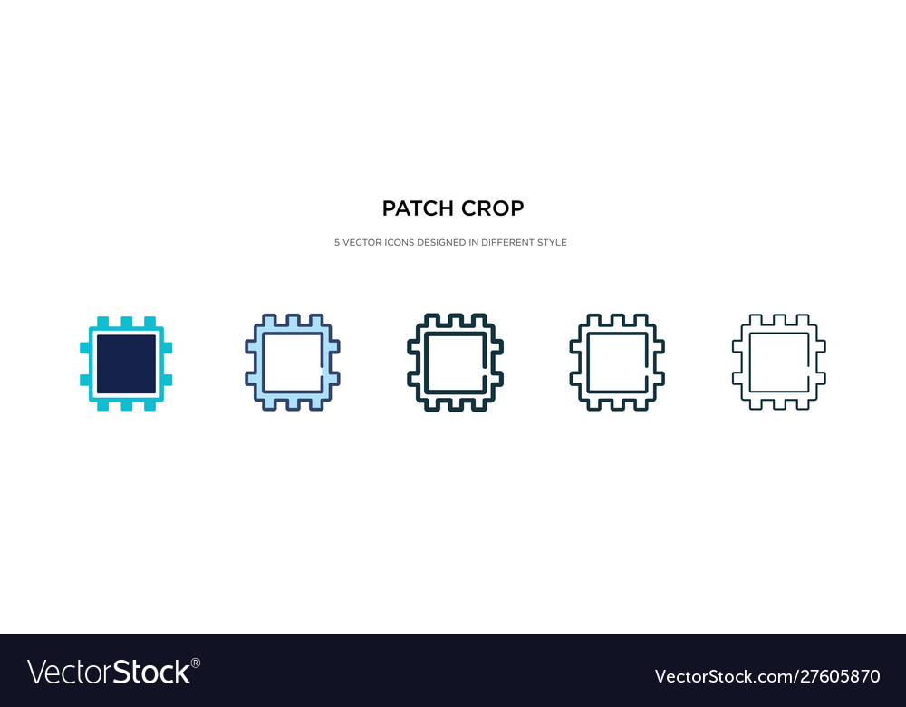Patch crop icon in different style two colored