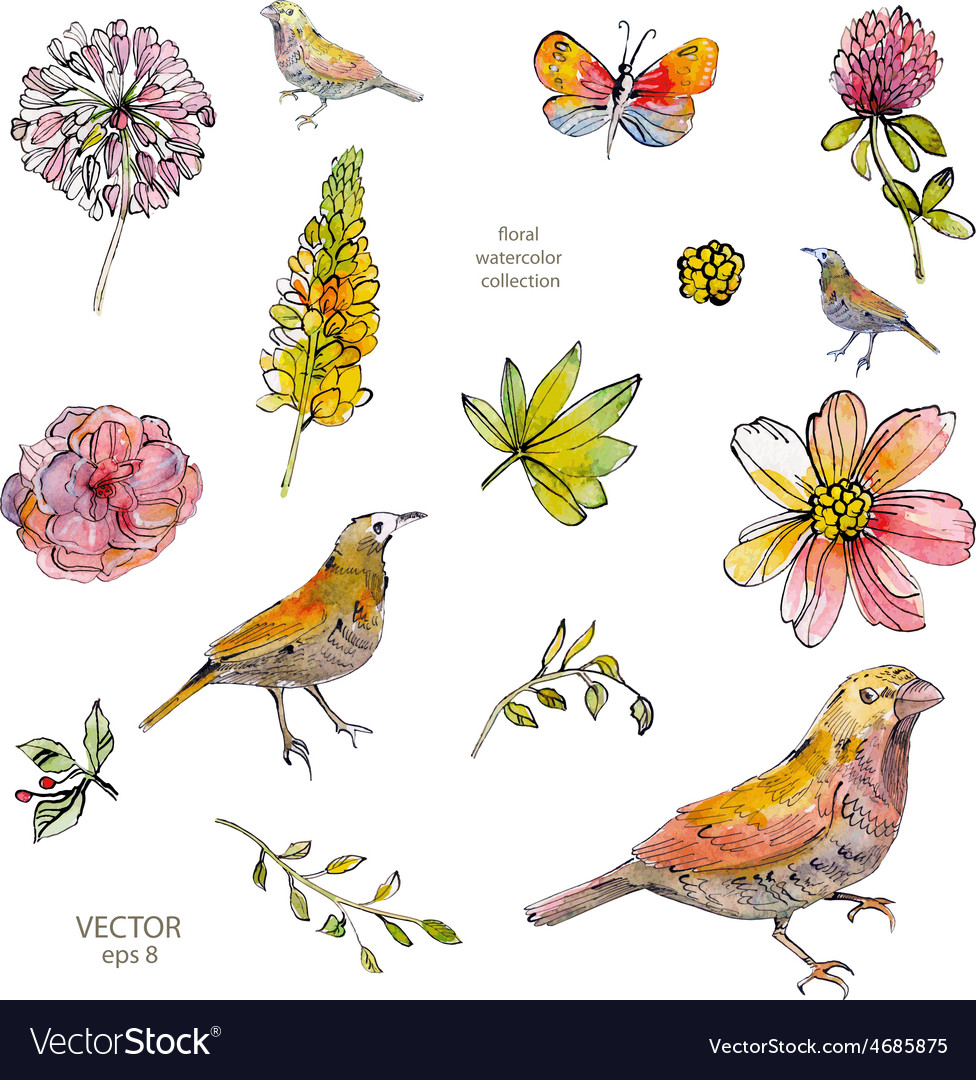 Floral Watercolor Collection - Birds & Blooms