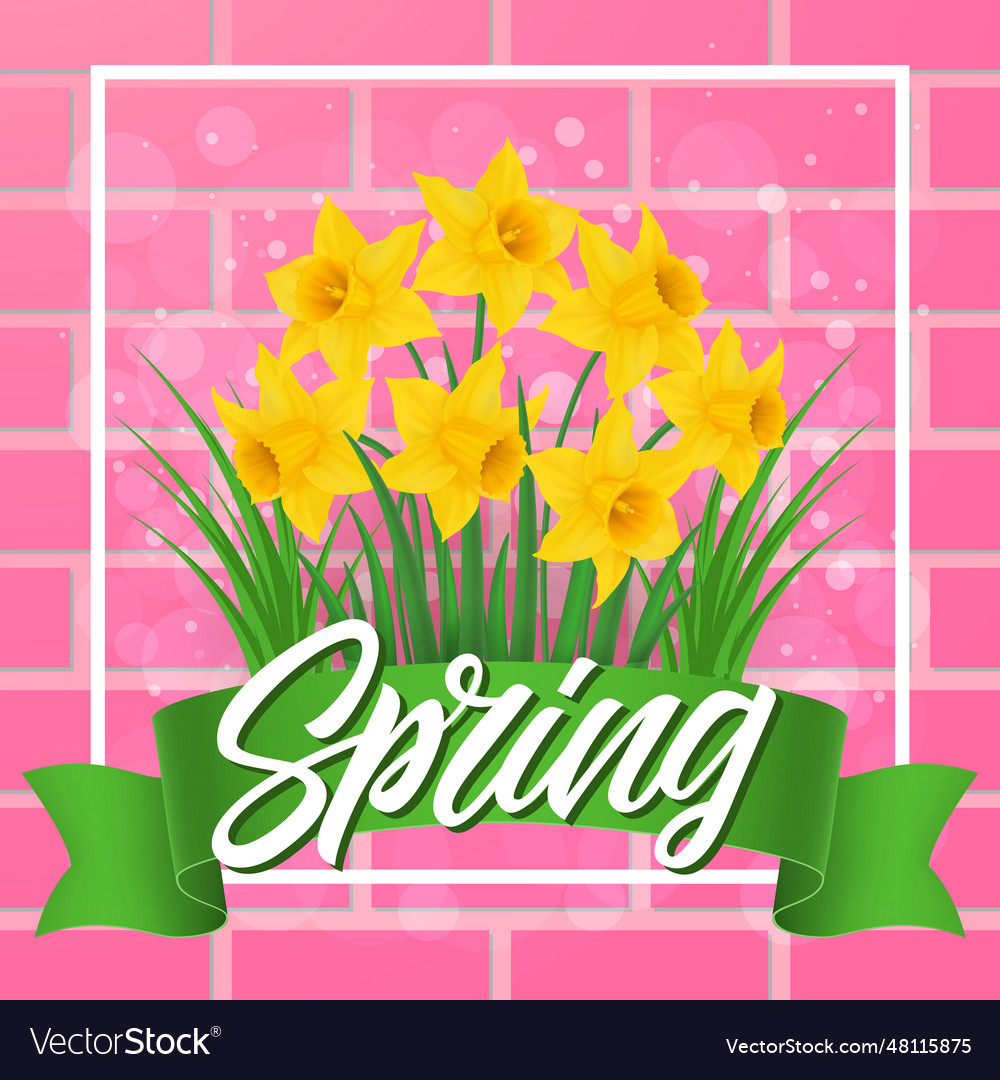 Spring lettering on ribbon with daffodils Vector Image Spring lettering on ribbon with daffodils