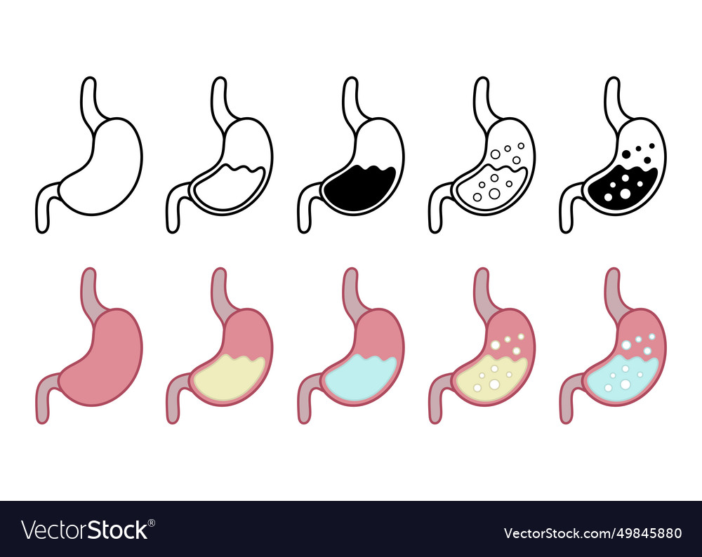 Human stomach design metabolism icons