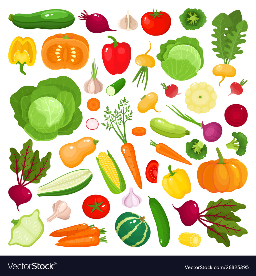 Bright colorful vegetables