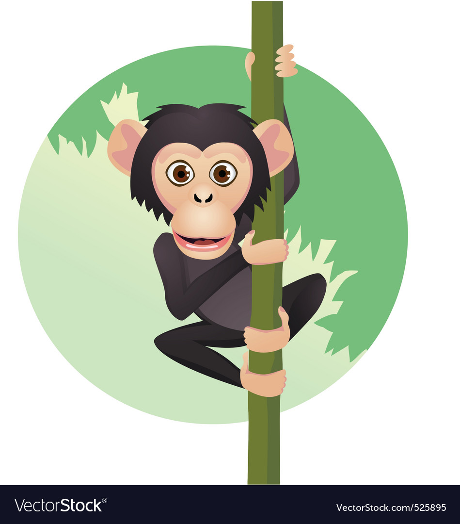 Chimpanzee cartoon Royalty Free Vector Image - VectorStock Chimpanzee cartoon Royalty Free Vector Image - VectorStock