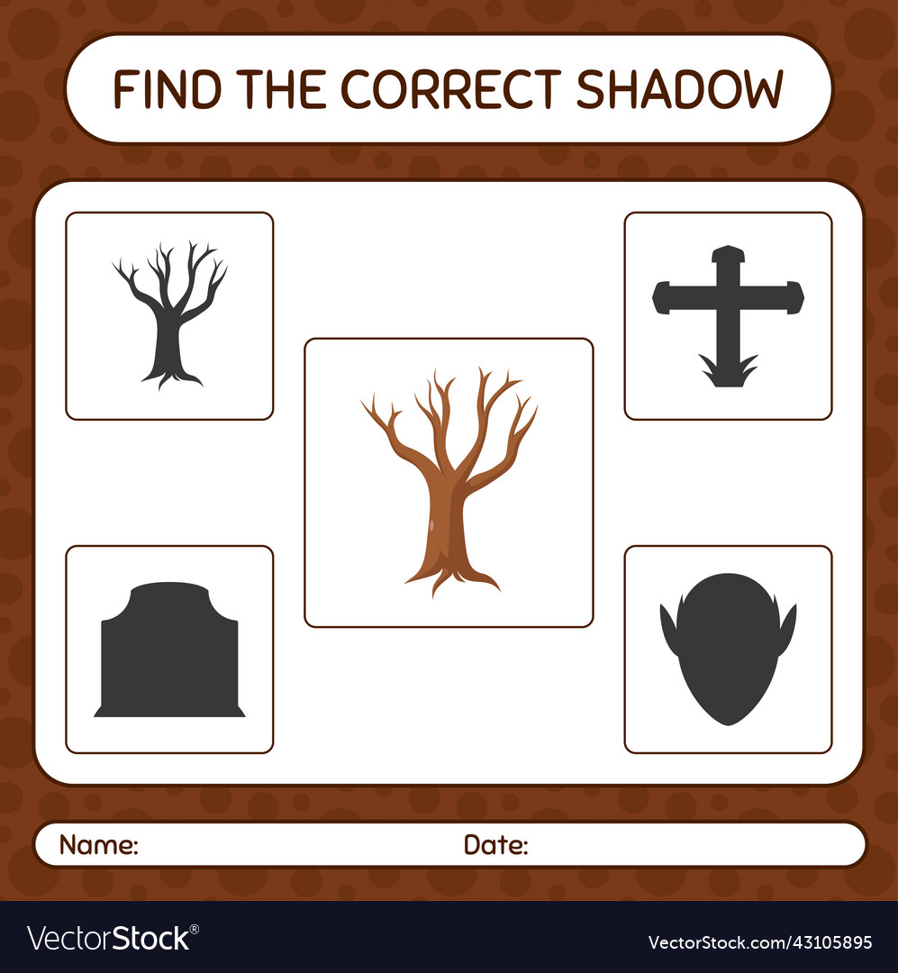 Find the correct shadows game with tree worksheet Vector Image Find the correct shadows game with tree worksheet