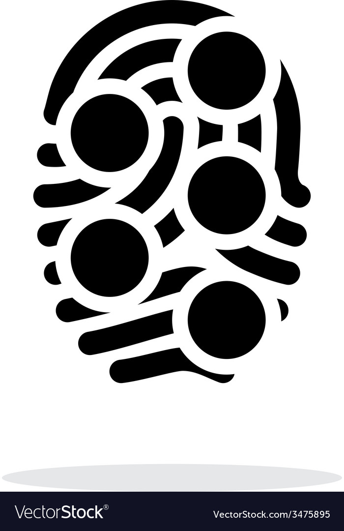 Fingerprint loop type scan icon on white