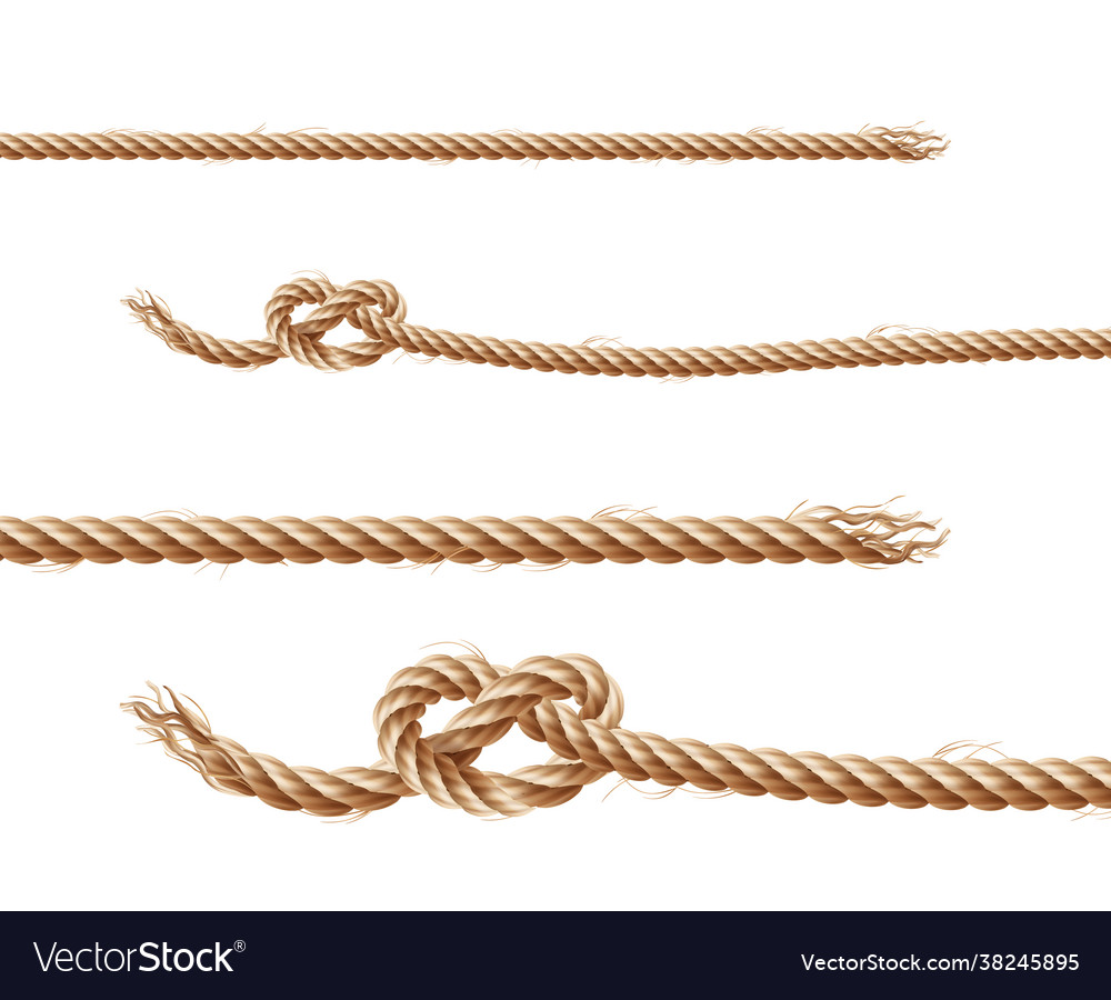 Set ropes jute or hemp twisted cords Royalty Free Vector