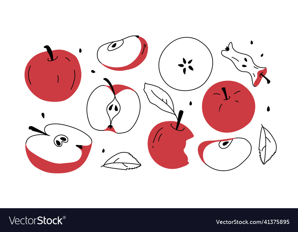 Set with red apple and apples slices hand drawn