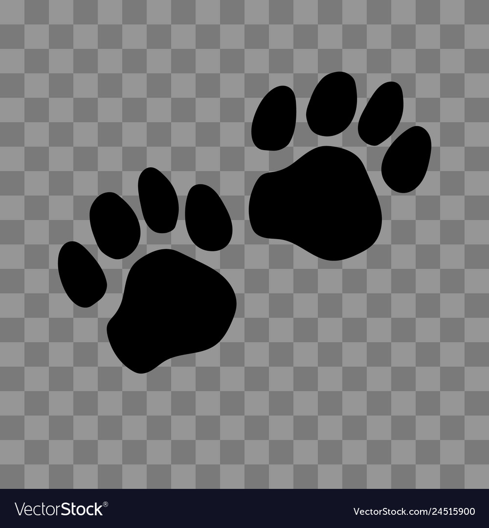Cute Paw Prints Logo