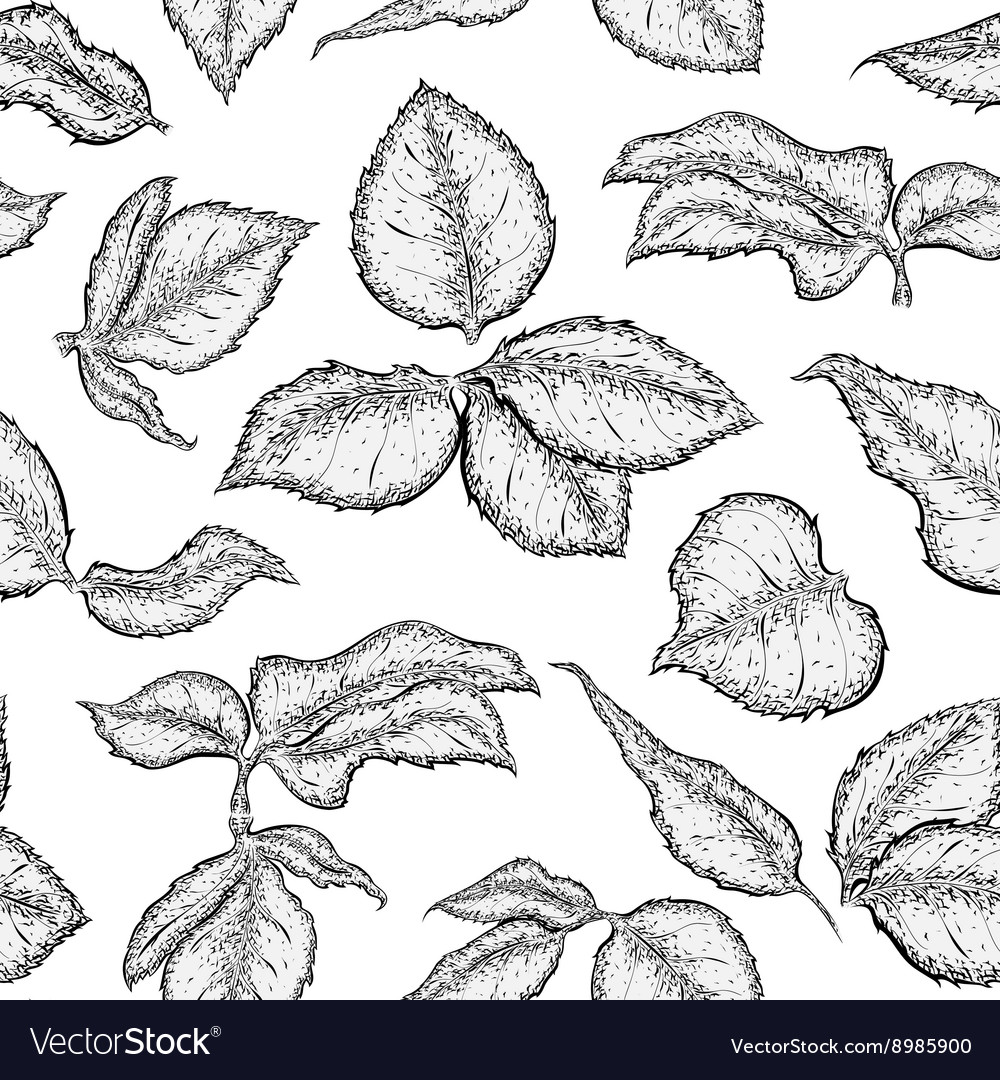 Hand drawn seamless pattern with foliage of rose