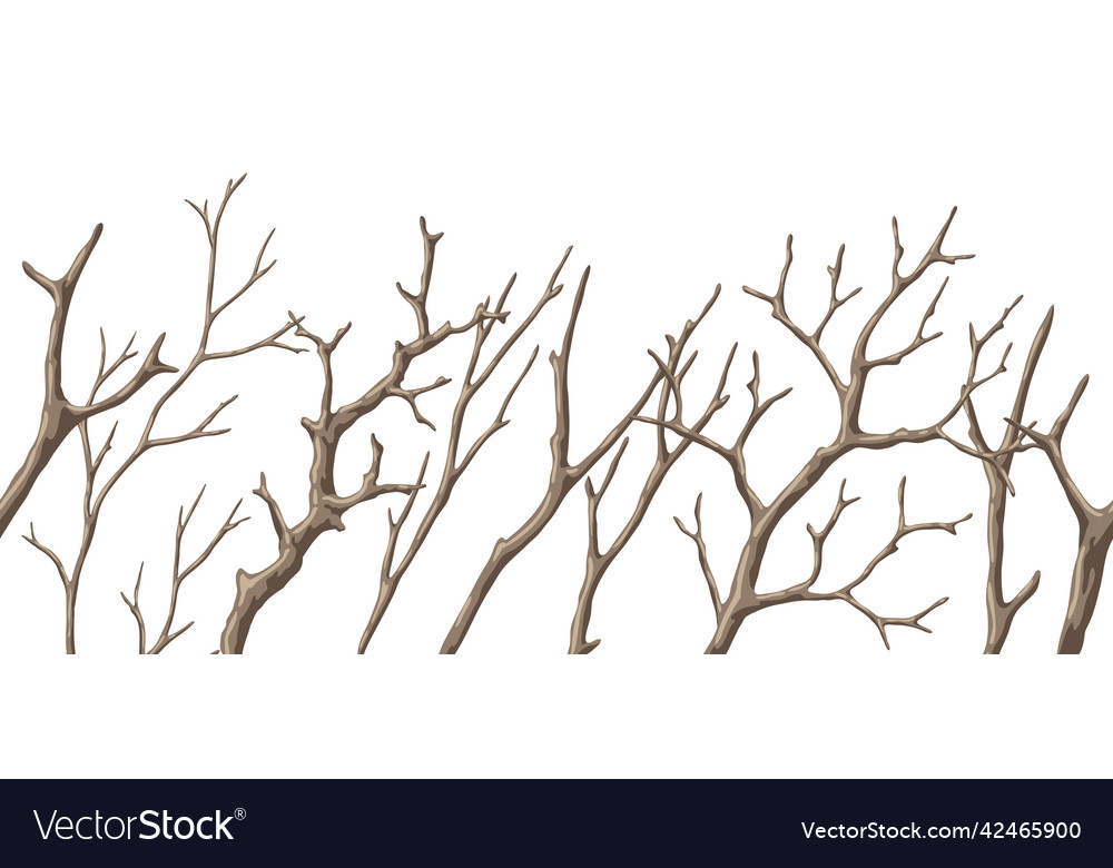Seamless pattern with dry bare branches