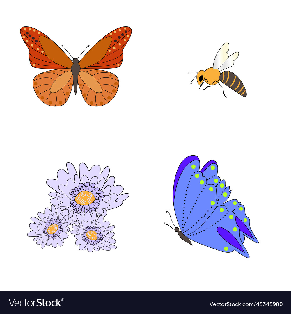 Spring of a butterfly bee