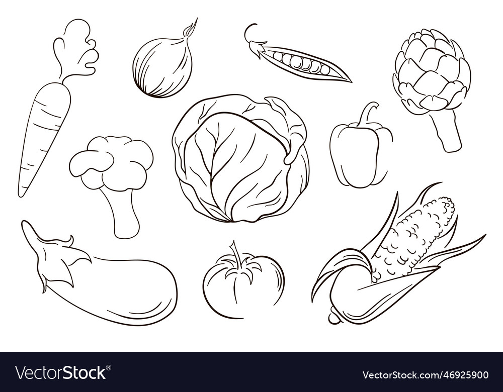 Vegetables set in line art style Royalty Free Vector Image