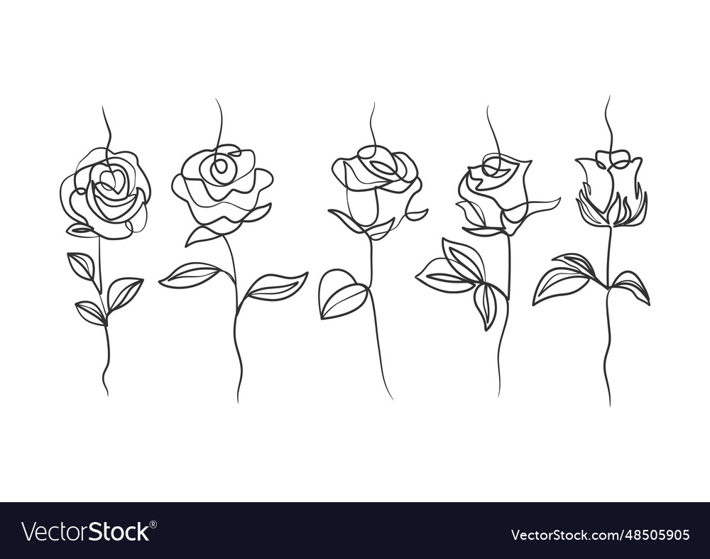 Continuous one line art drawing of beauty rose Vector Image