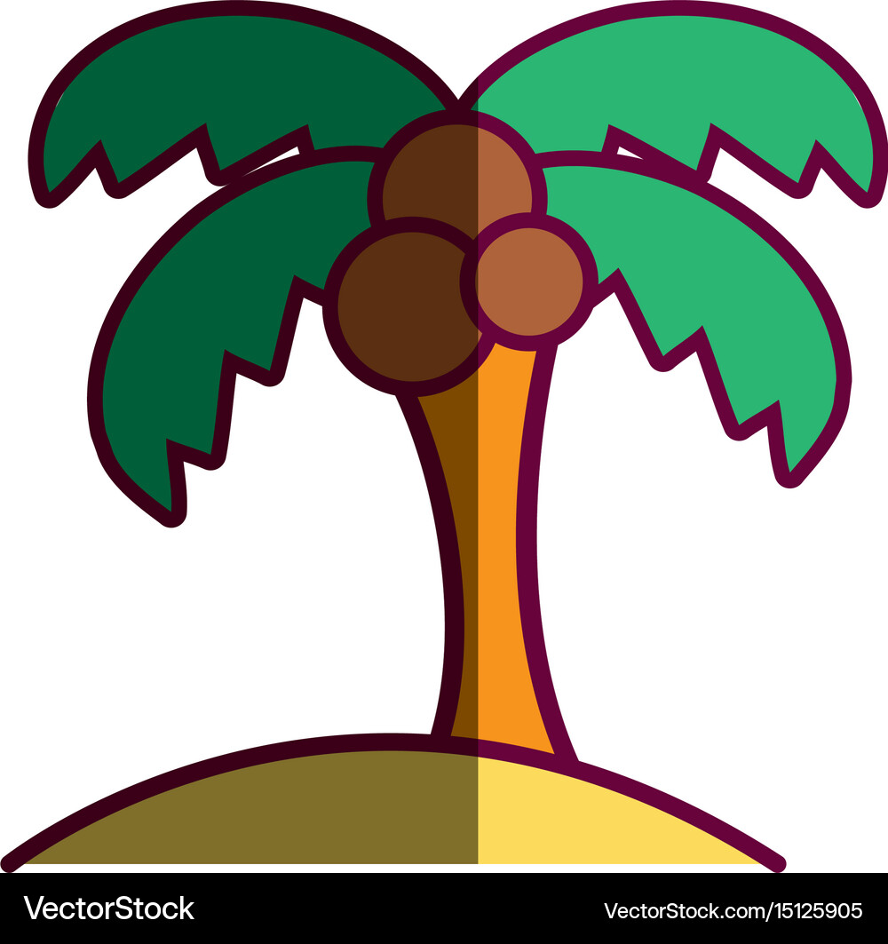 Palm Tree With Coconuts And Leaves Royalty Free Vector Image