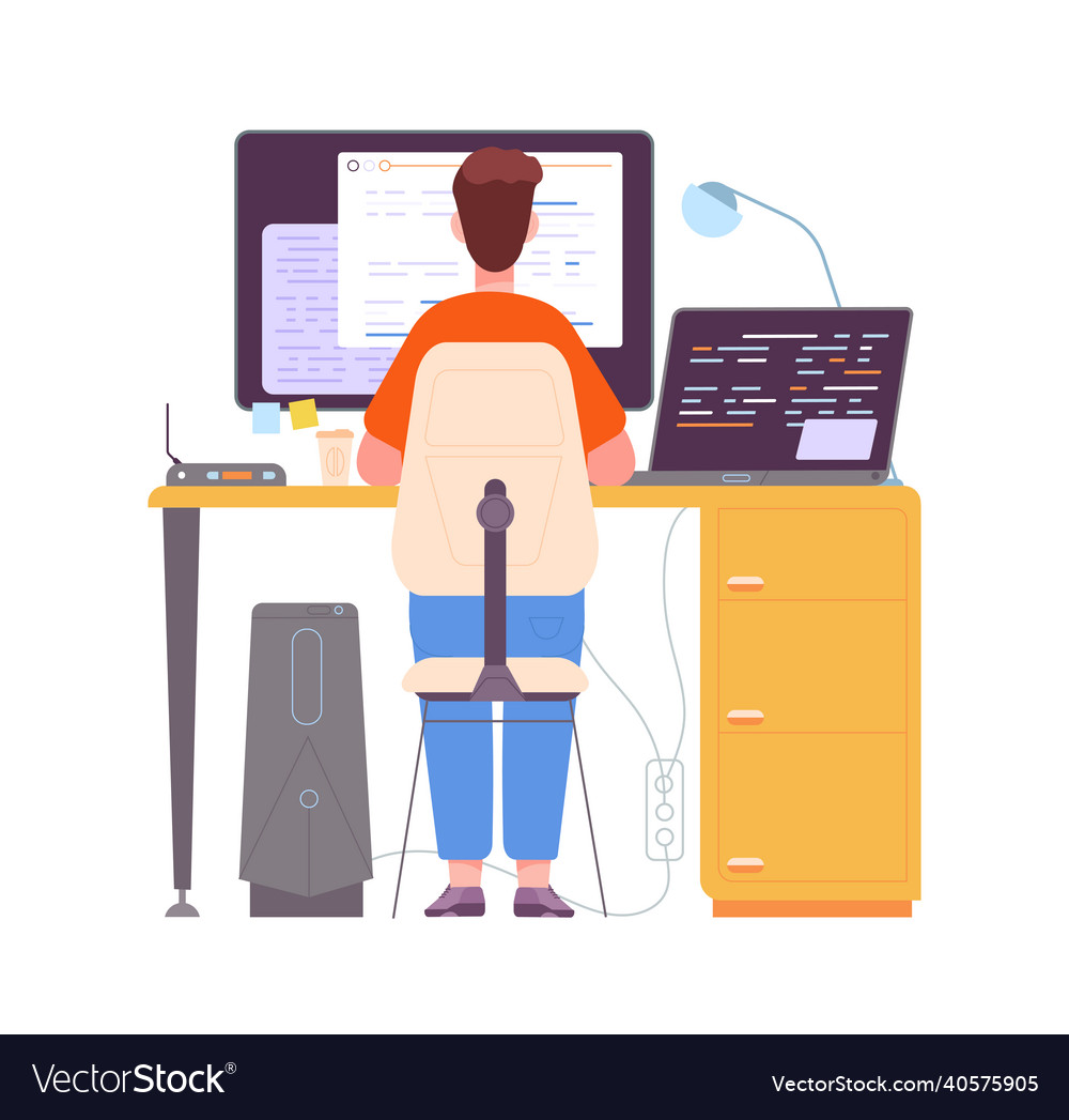 Programmer writing code work software developer Vector Image