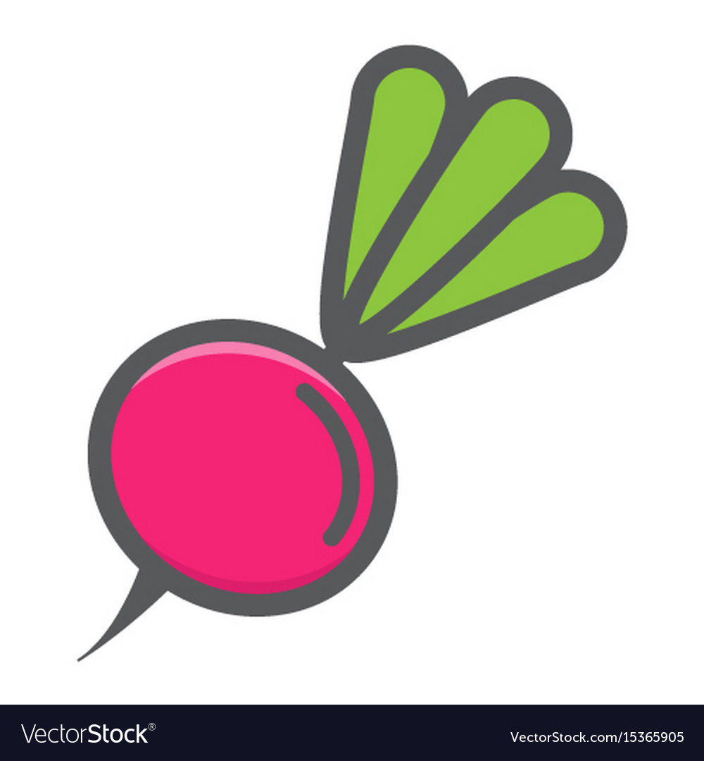 Radish colorful line icon vegetable and diet