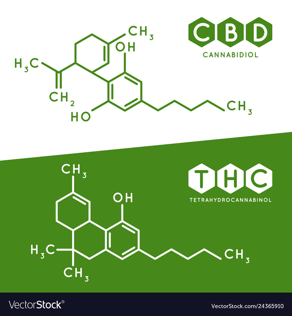 Thc And Cbd Formula Cannabidiol And Royalty Free Vector 4931