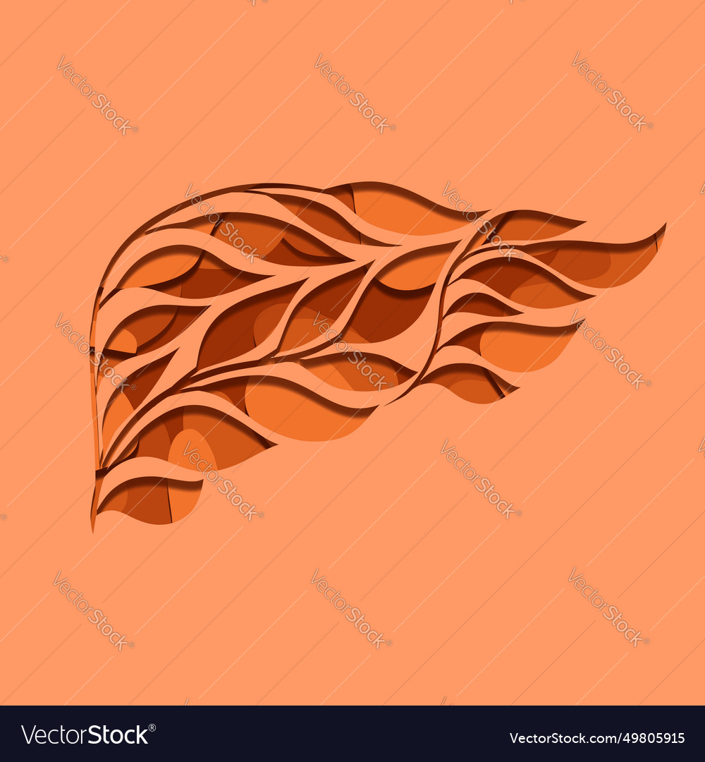 3d cut layered of human Royalty Free Vector Image