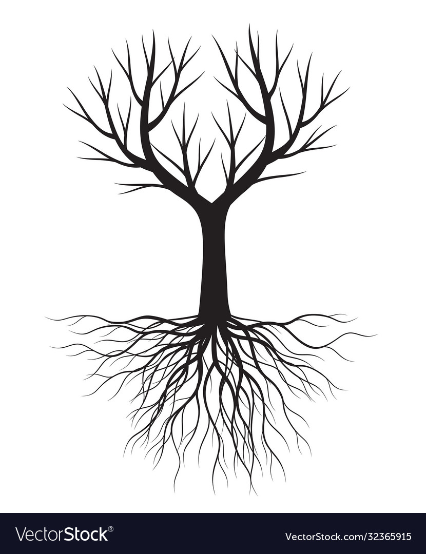 Black tree with roots Royalty Free Vector Image