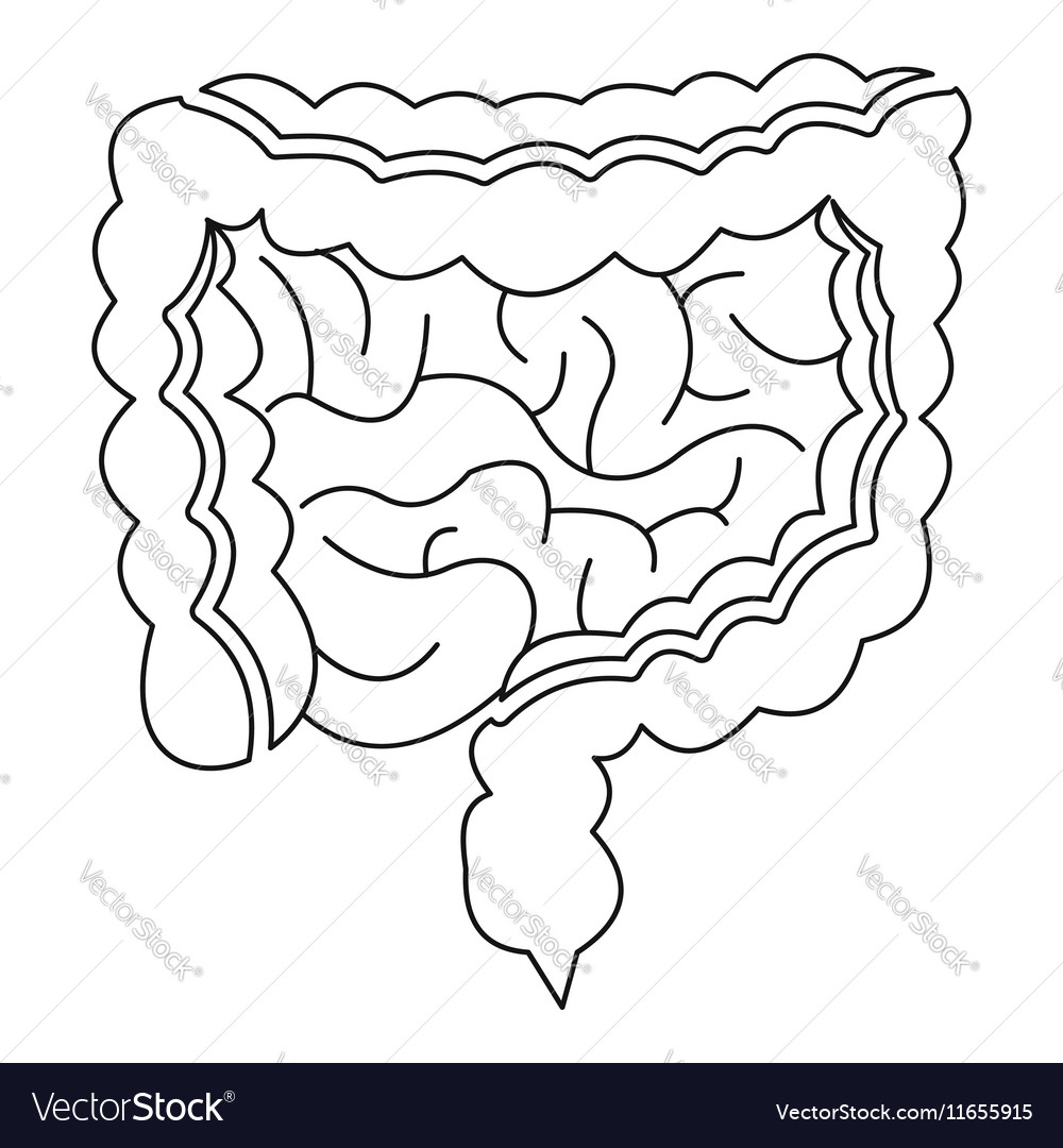 Intestines icon outline style Royalty Free Vector Image