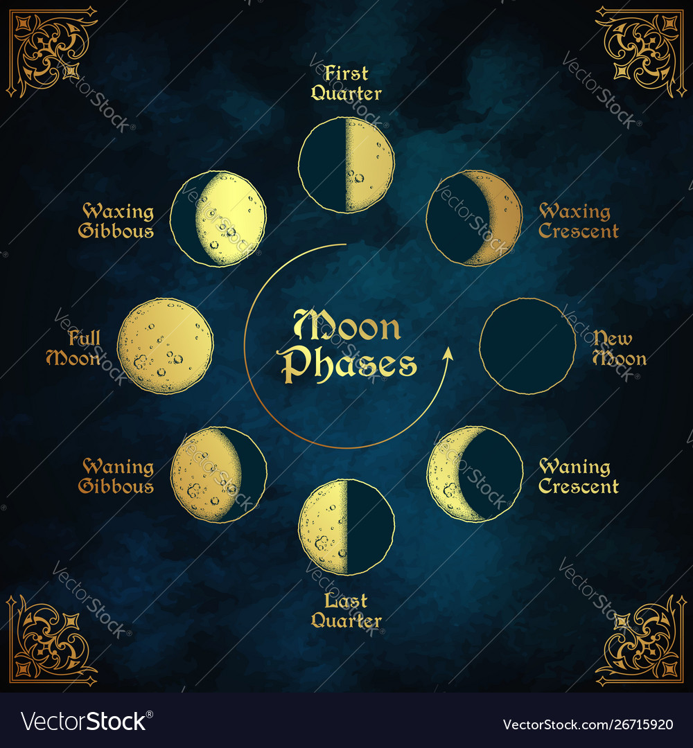 Antique style moon phases circle Royalty Free Vector Image