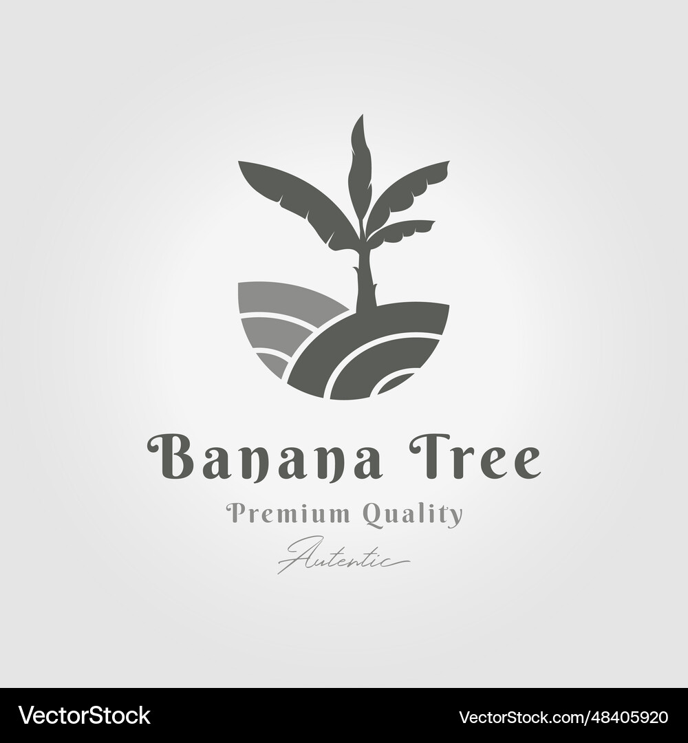 Banana tree logo icon design minimal emblem Vector Image